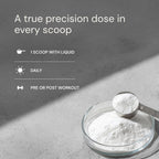 Creatine Monohydrate Powder – Muscle Growth & Performance

