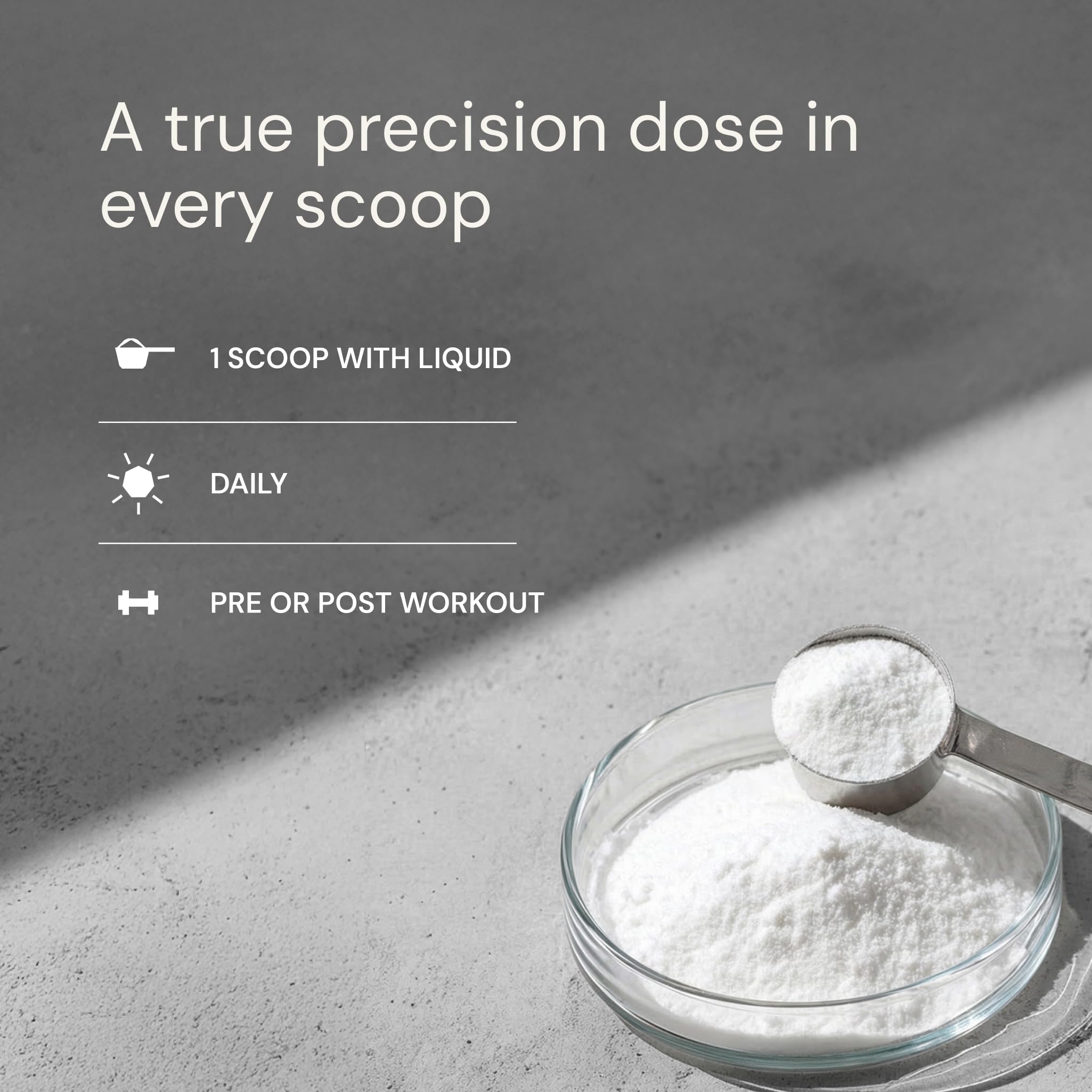 Creatine Monohydrate Powder – Muscle Growth & Performance

