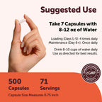 Micro Ingredients Creatine Monohydrate Capsules | Micronized

