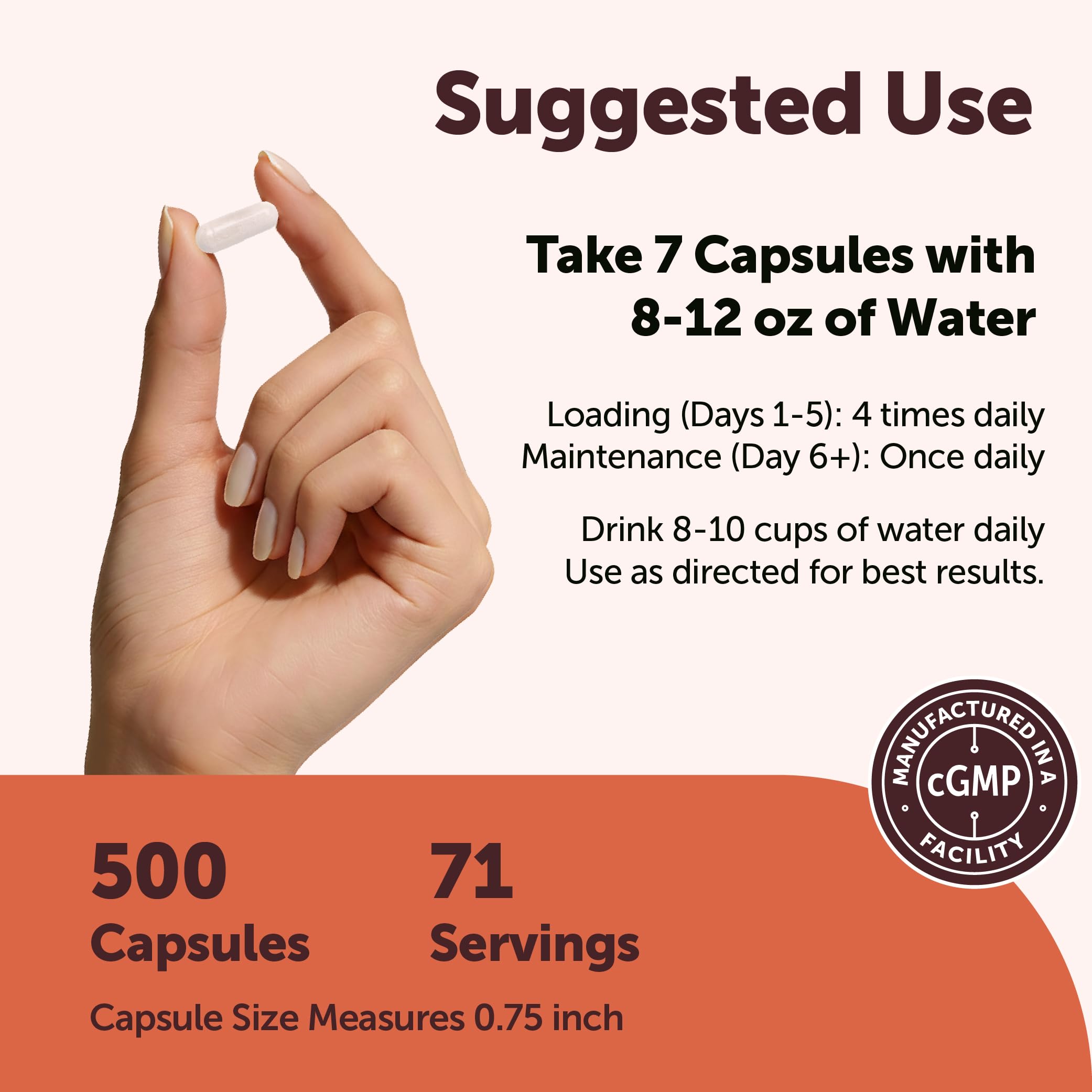 Micro Ingredients Creatine Monohydrate Capsules | Micronized

