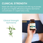 Gymnema Sylvestre Extract 700mg Himalaya Organic

