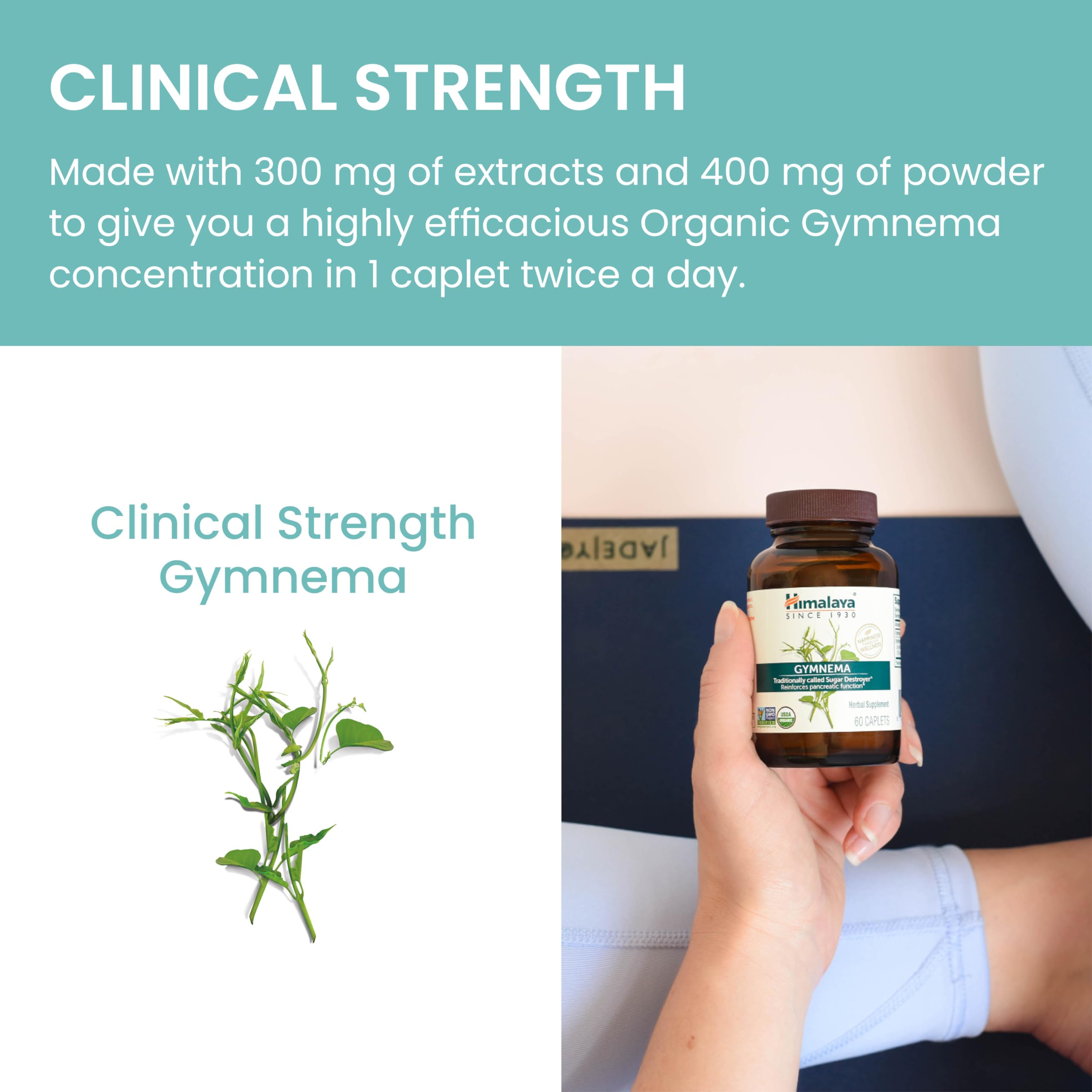Gymnema Sylvestre Extract 700mg Himalaya Organic

