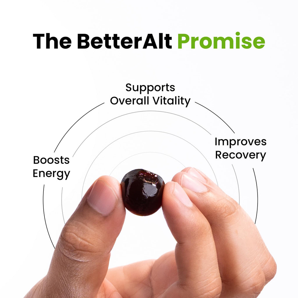 Better Alt Shilajit Gummies for Energy & Immune Support

