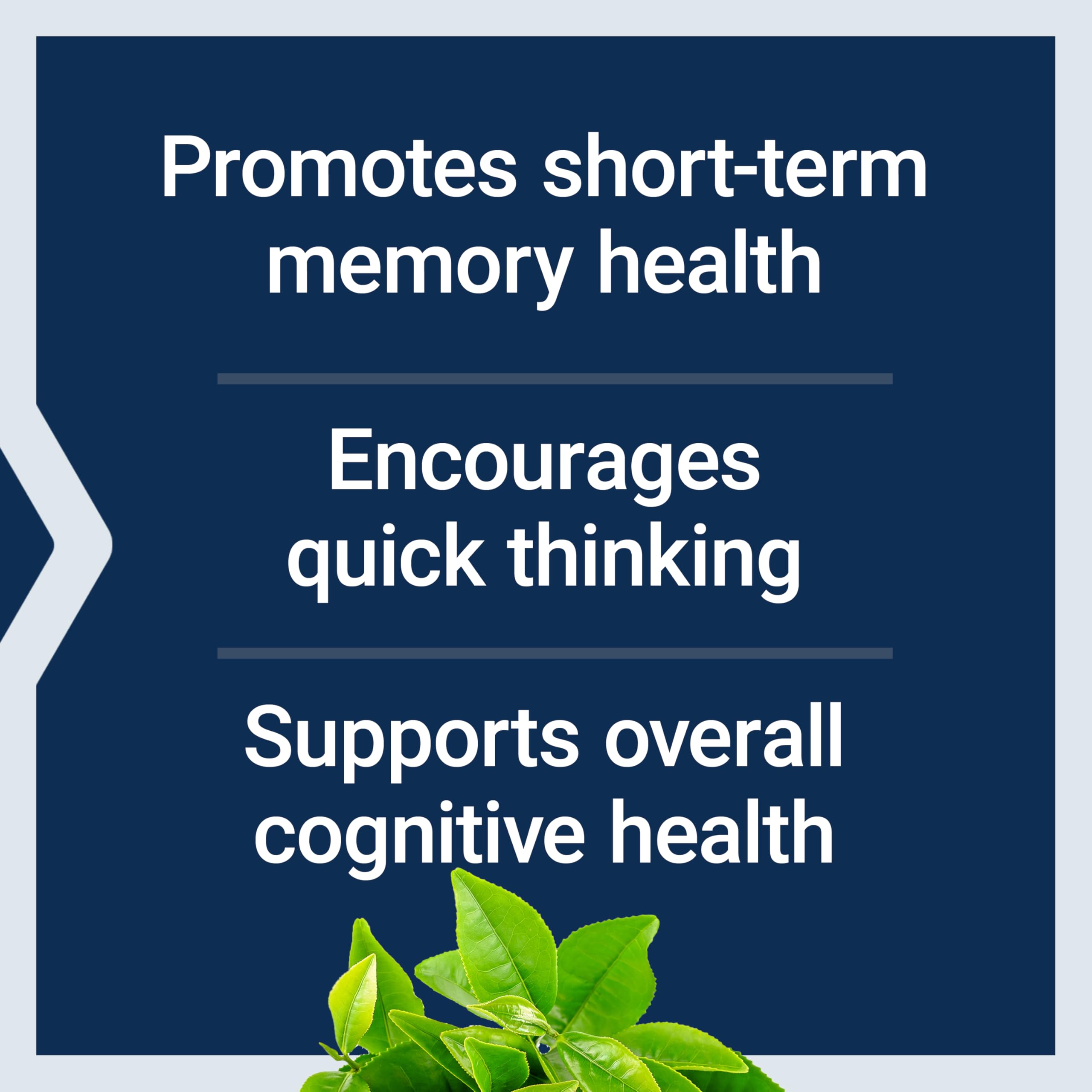Life Extension Neuro-Mag Magnesium L-Threonate for Cognition

