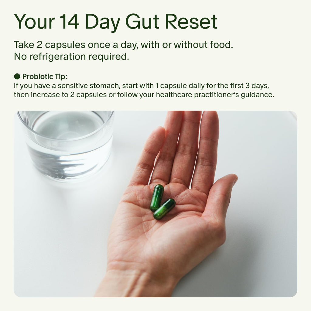 Seed Probiotic & Prebiotic Digestive Health Supplement

