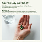 Seed Probiotic & Prebiotic Digestive Health Supplement


