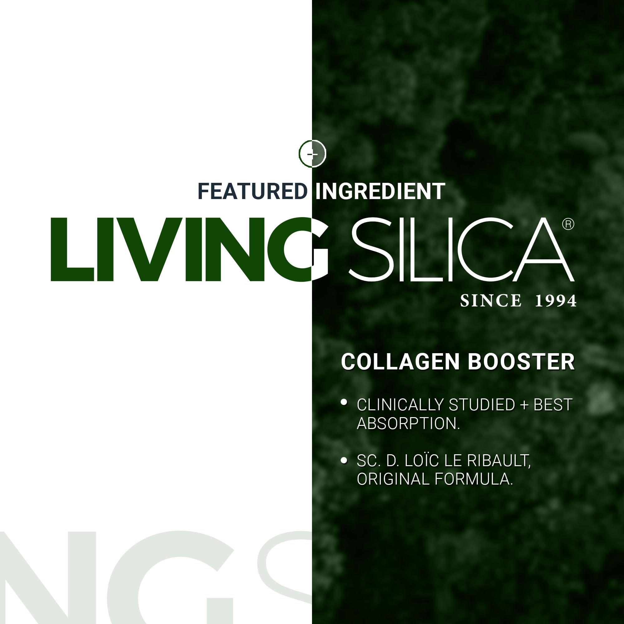 Living Silica ORGONO Plant-Based Collagen Booster

