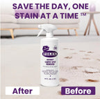 FOLEX Instant Carpet Spot Remover - Stain Removal

