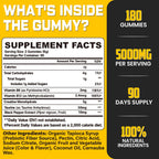 Creatine Monohydrate Gummies for Muscle Support | Vegan

