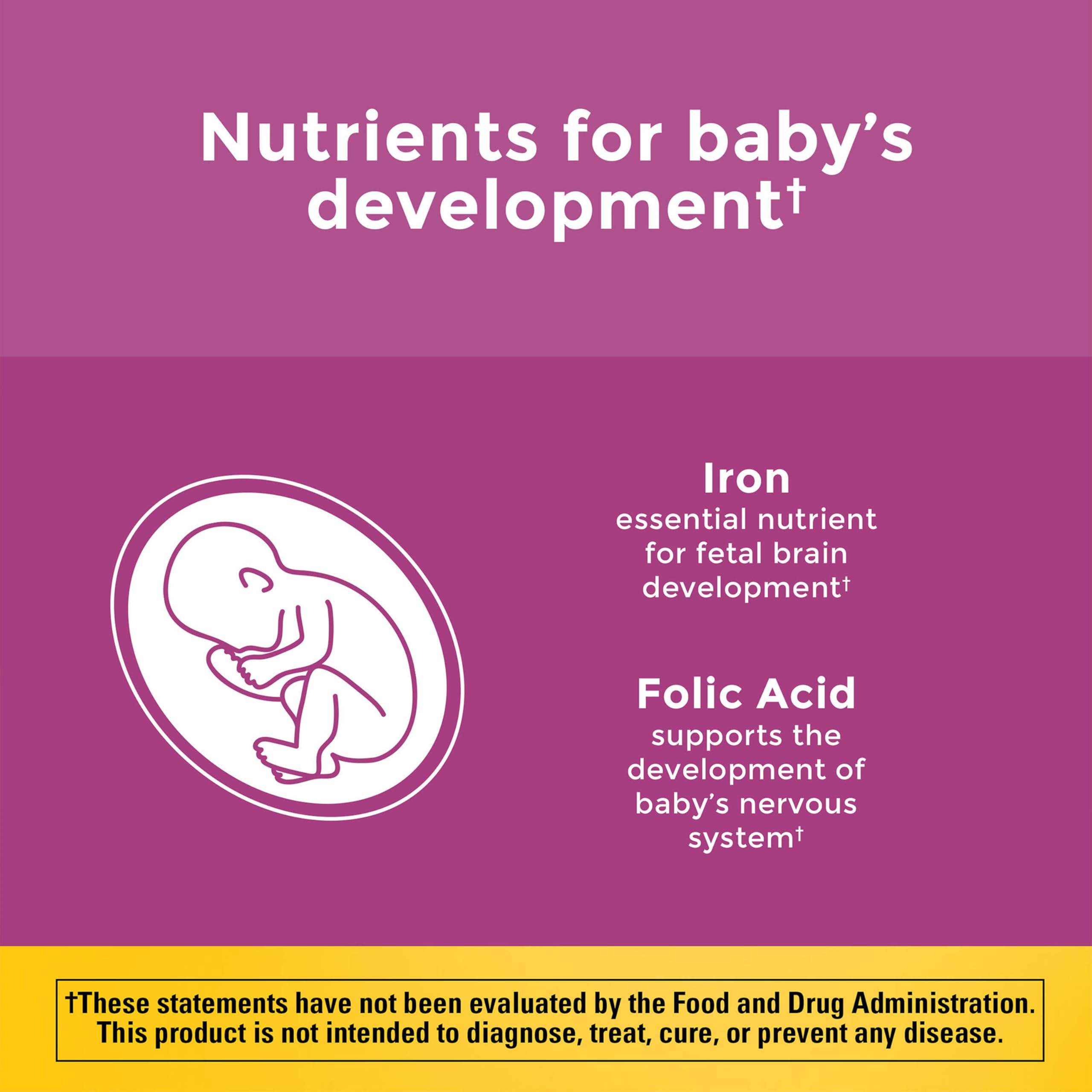 Nature Made Prenatal Multivitamin with Folic Acid

