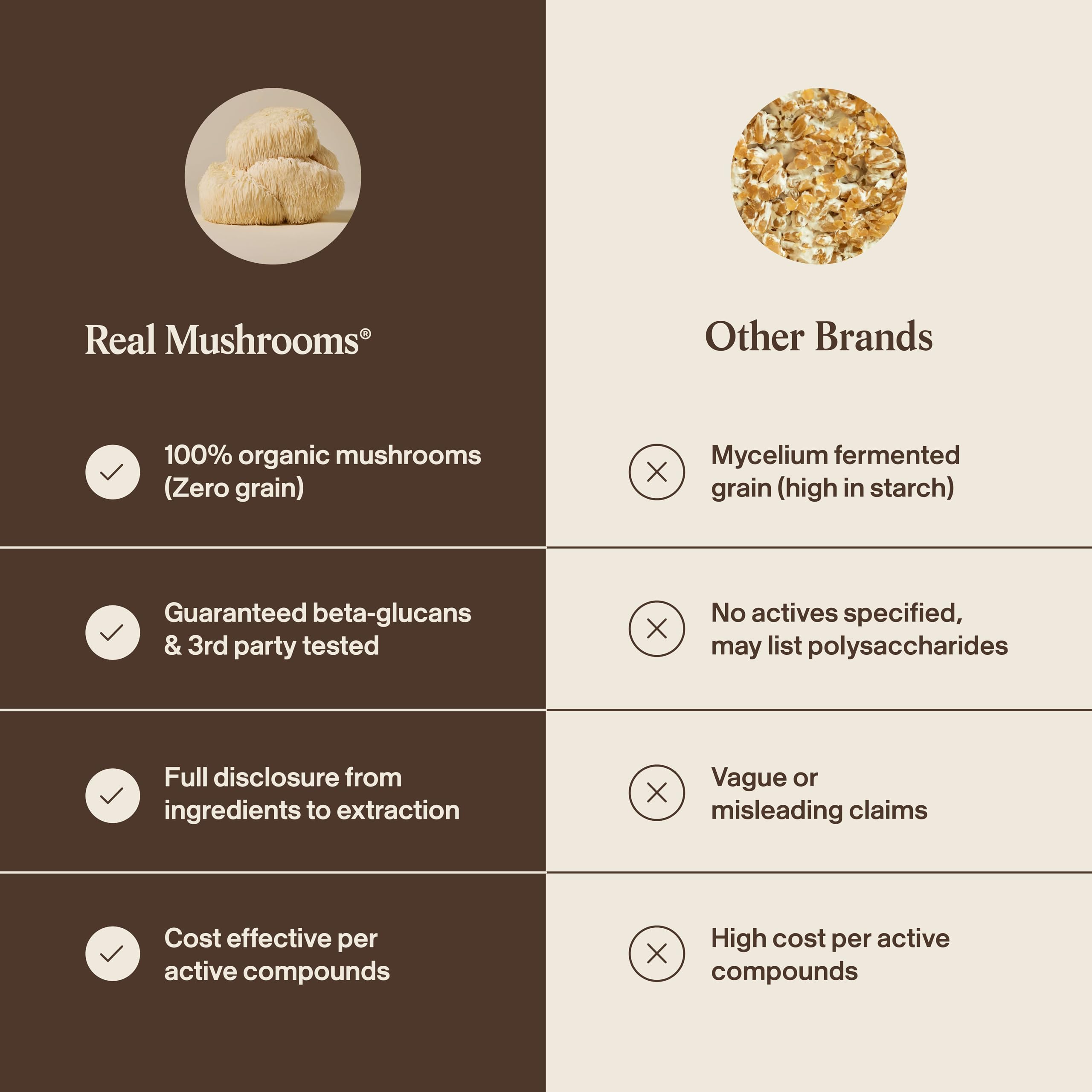 Real Mushrooms Lion's Mane Cognition Brain Support

