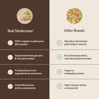 Real Mushrooms Lion's Mane Mushroom Powder Extract - Organic

