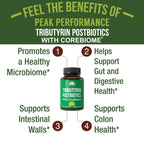 CoreBiome Tributyrin Postbiotic for Gut Health

