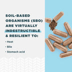Ancient Nutrition SBO Probiotics Ultimate Probiotic

