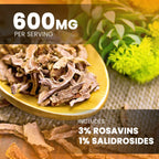 Rhodiola Rosea Supplement | NutraChamps Energy & Focus

