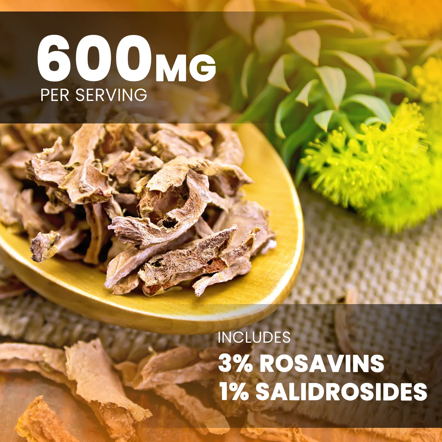 Rhodiola Rosea Supplement | NutraChamps Energy & Focus

