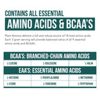 Amino Acids by Triquetra Health: Plant-Based Essentials

