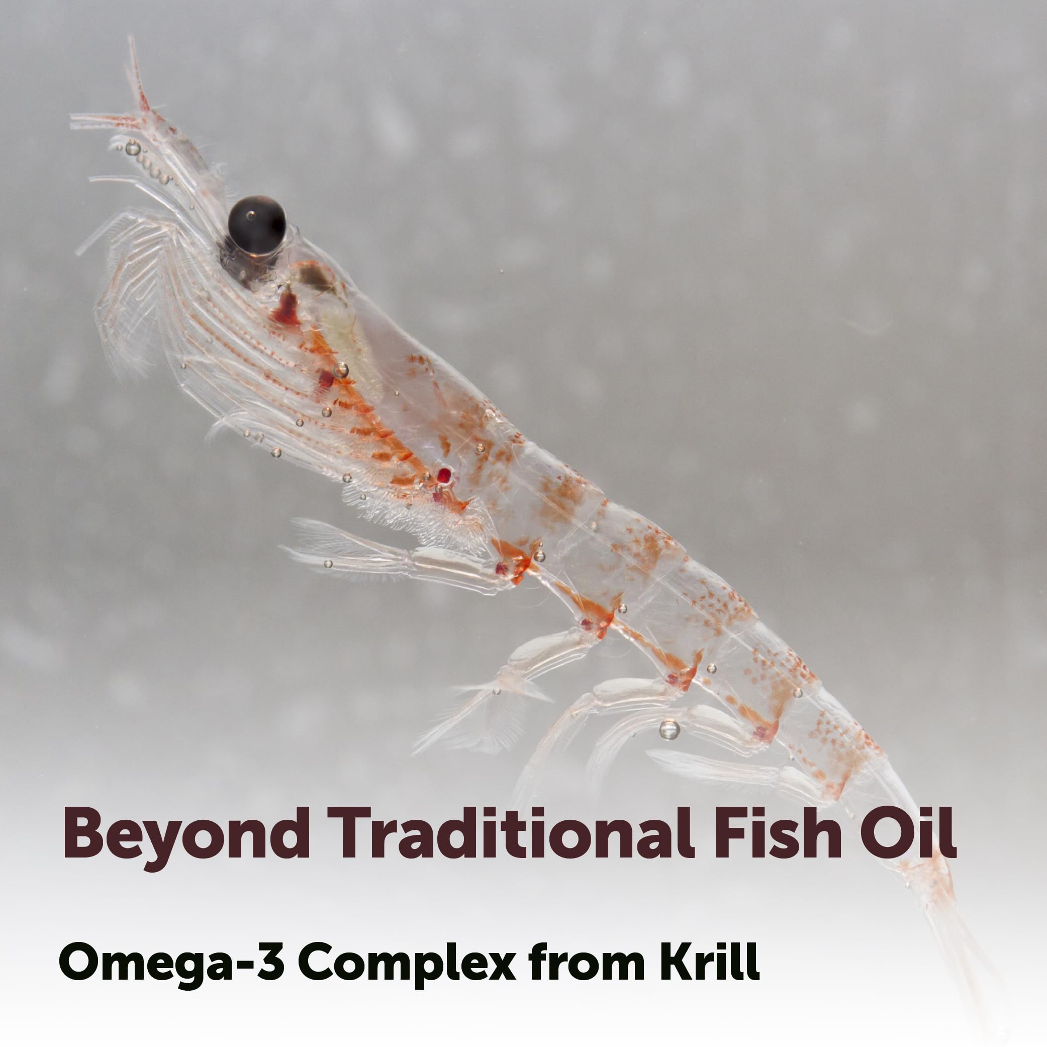 Micro Ingredients Antarctic Krill Oil 2,000 mg EPA & DHA

