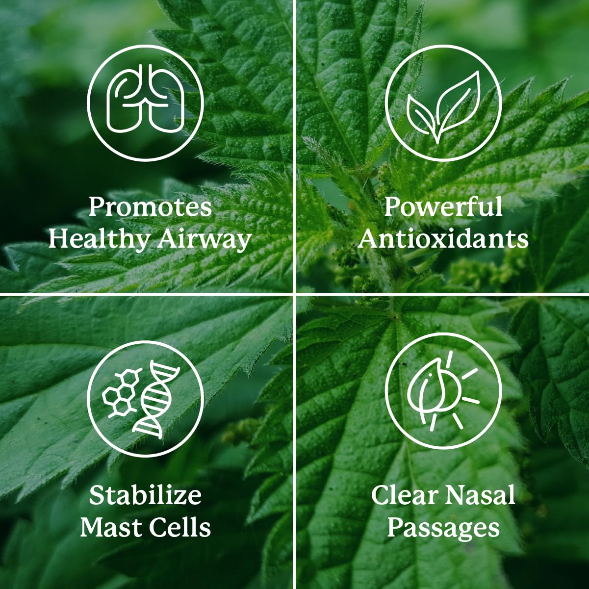 Nature's Sunshine HistaBlock Respiratory Support

