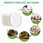 Vplus Oval Paper Plates - Compostable Bagasse Fiber

