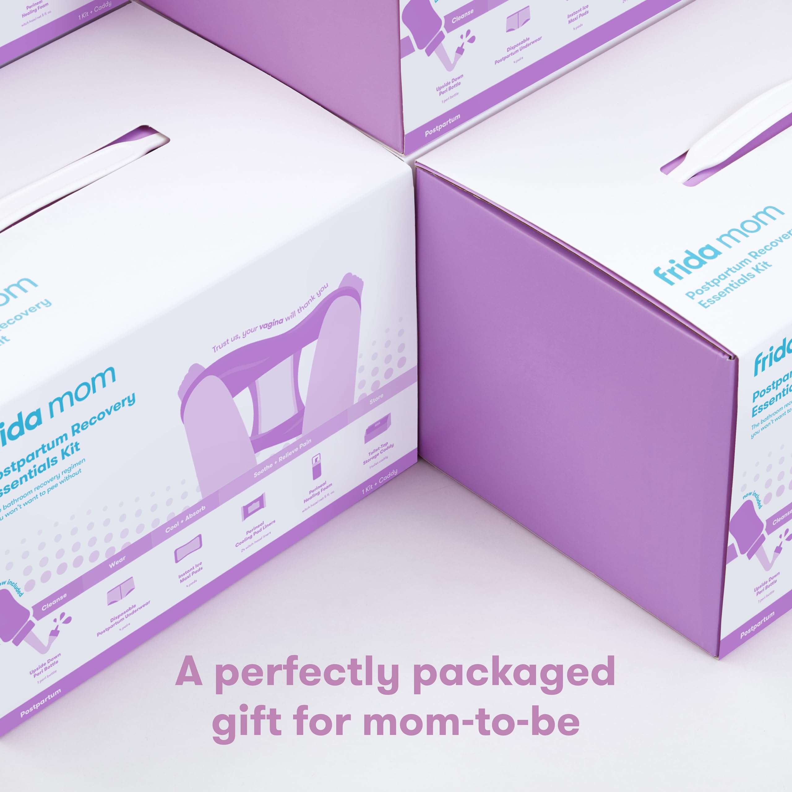Frida Mom Postpartum Essentials Kit Gift Set


