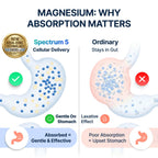 Spectrum Magnesium 5-in-1 with 72 Trace Minerals

