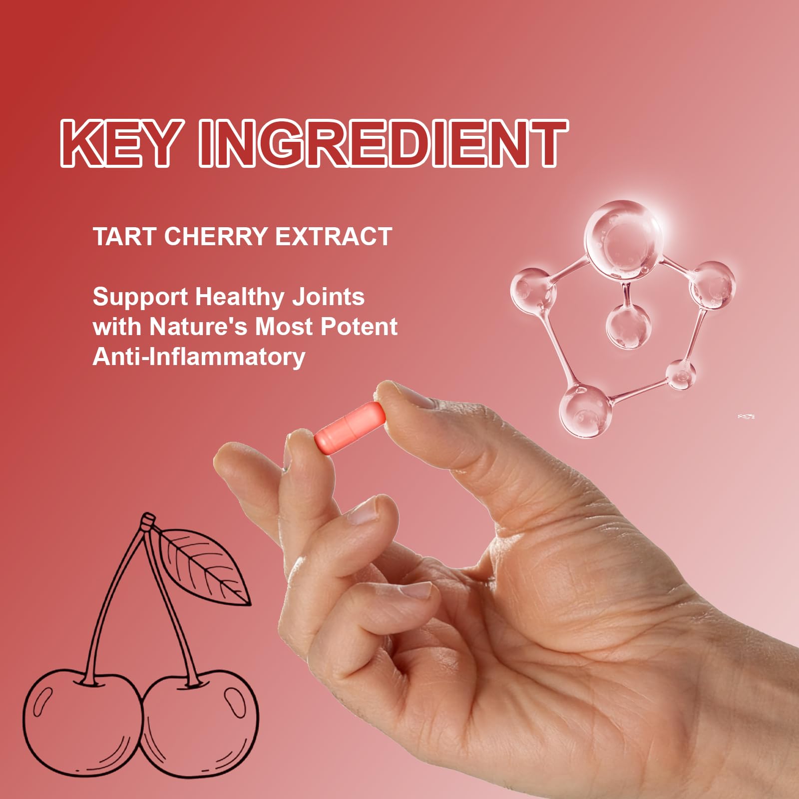 Tart Cherry Extract Capsule Supplement

