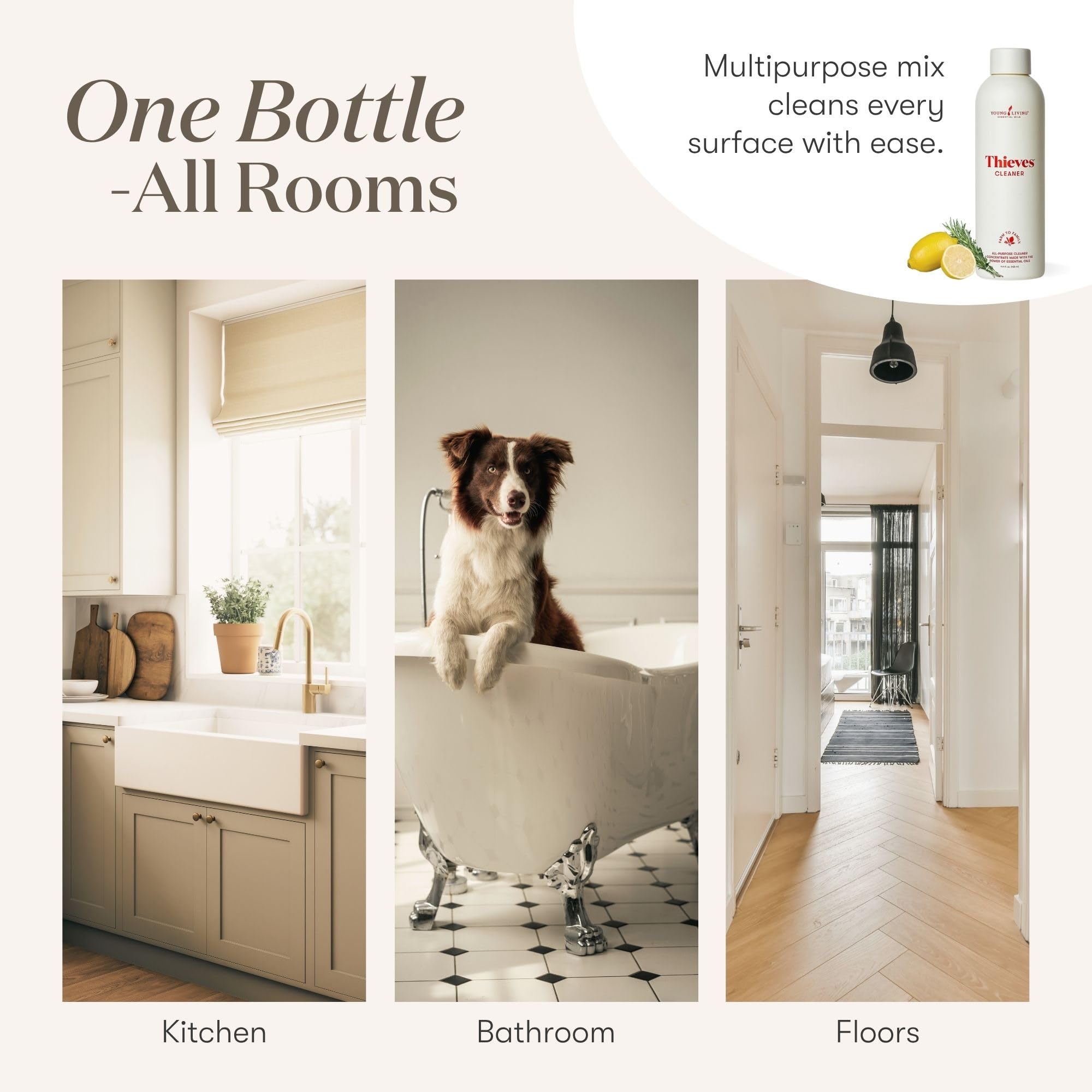 Thieves Household Cleaner - Plant-Based Multi-Surface

