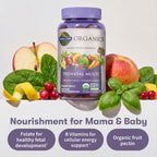 Garden of Life Organics Prenatal Gummies – Berry Vegan

