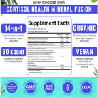 Adndale Cortisol Support Supplement | Adaptogens

