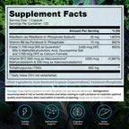 Methylated B Complex Vitamins – USA Made

