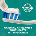 Tom's of Maine Whole Care Natural Fluoride Toothpaste


