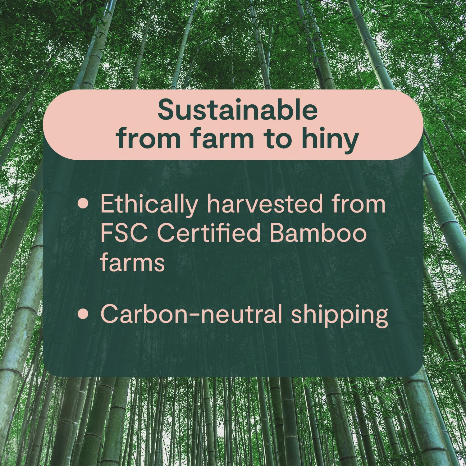 ecoHiny Bamboo Toilet Paper - PFAS Free & FSC Certified

