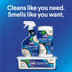 Clorox Scentiva Disinfecting Wet Mop Pad Refills

