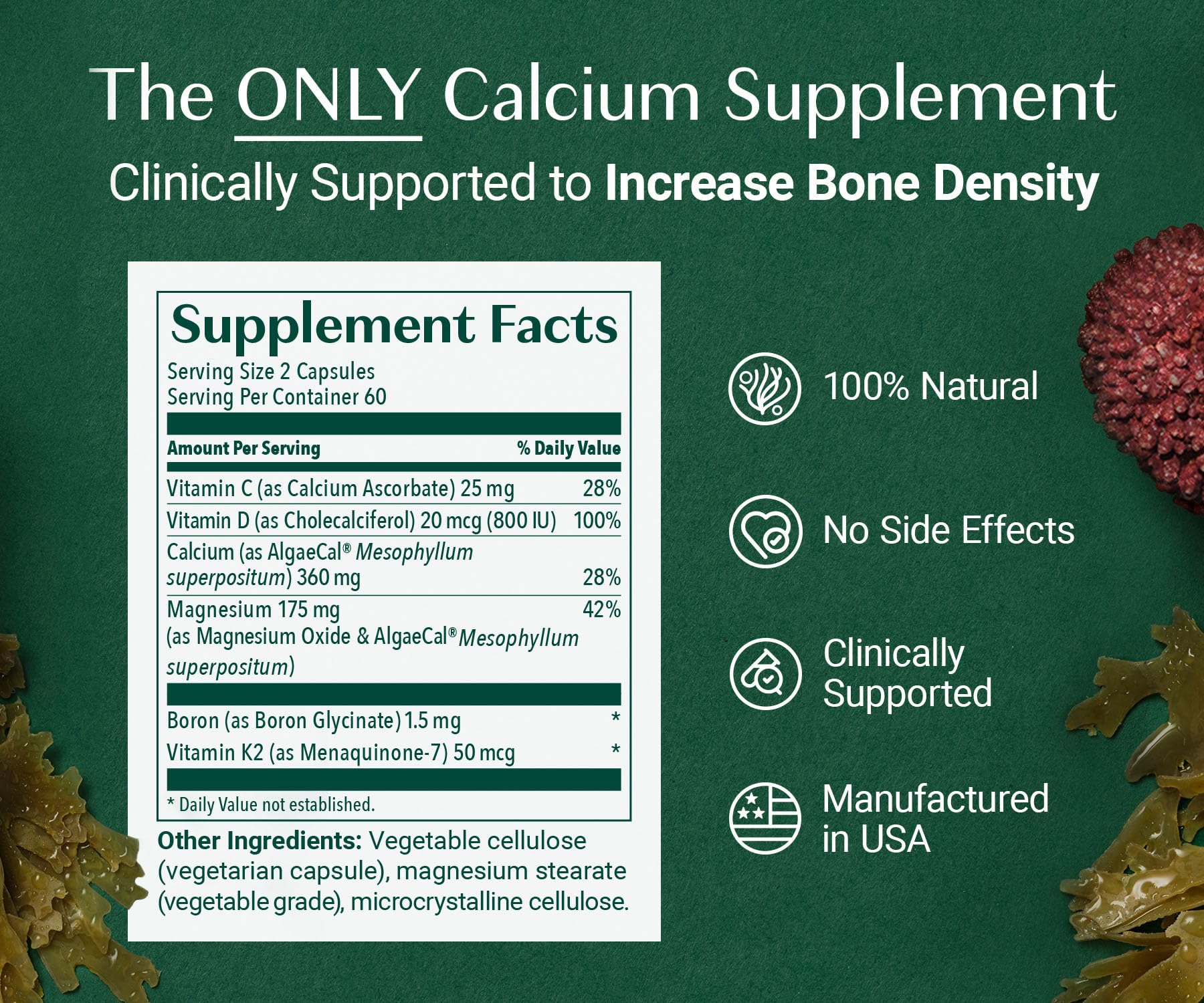 ALGAECAL Organic Red Algae Calcium with D3 & K2 MK7

