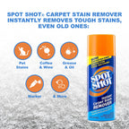 Spot Shot Instant Carpet Stain Remover Aerosol

