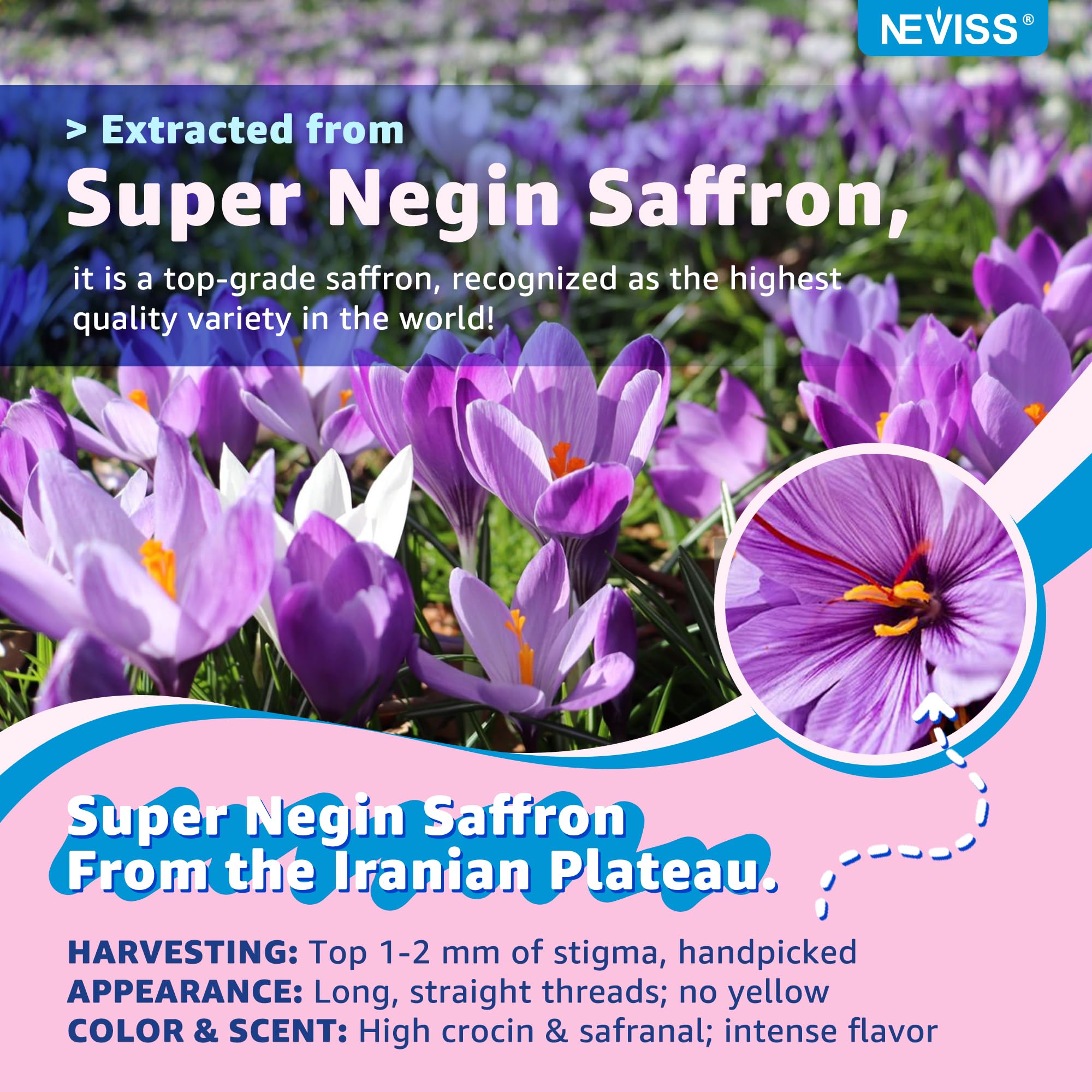 Saffron Magnesium Gummies for Kids | Super Negin

