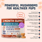 Turkey Tail Mushroom Dog Supplement by Pets are Kids

