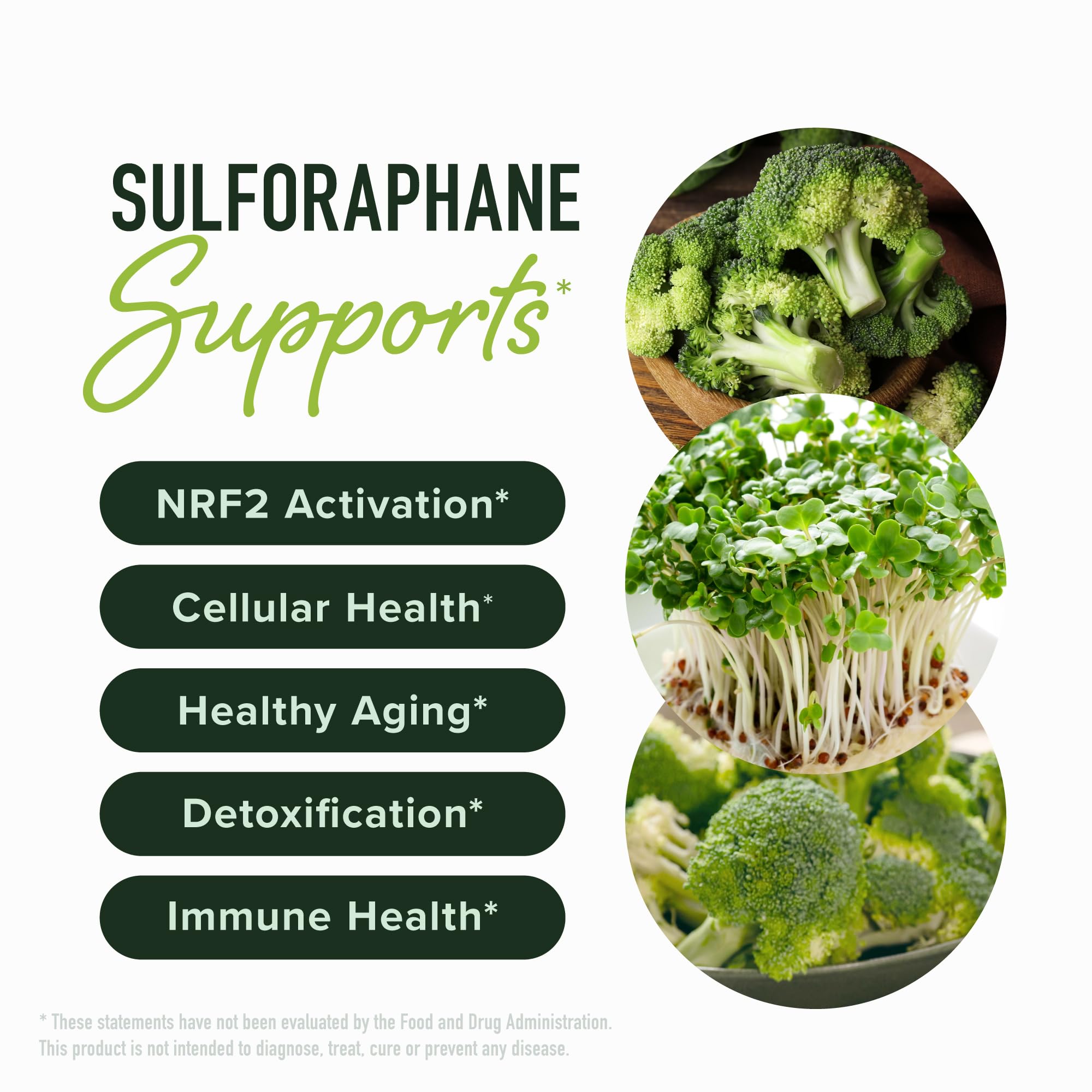Sulforaphane Broccoli Sprouts Supplement NRF2 Activation

