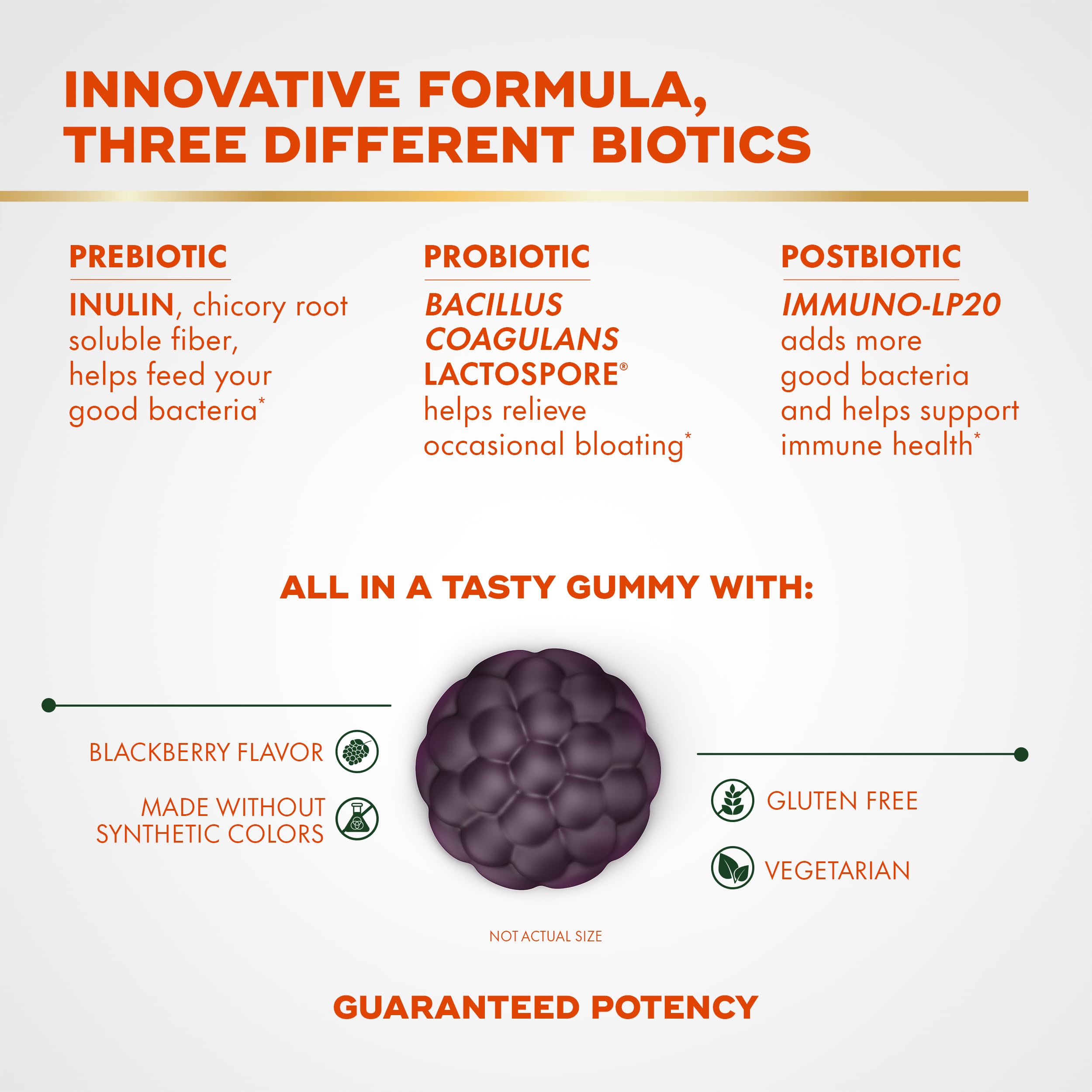 Align Probiotic 3-in-1 Biotic Gummies Blackberry Flavor

