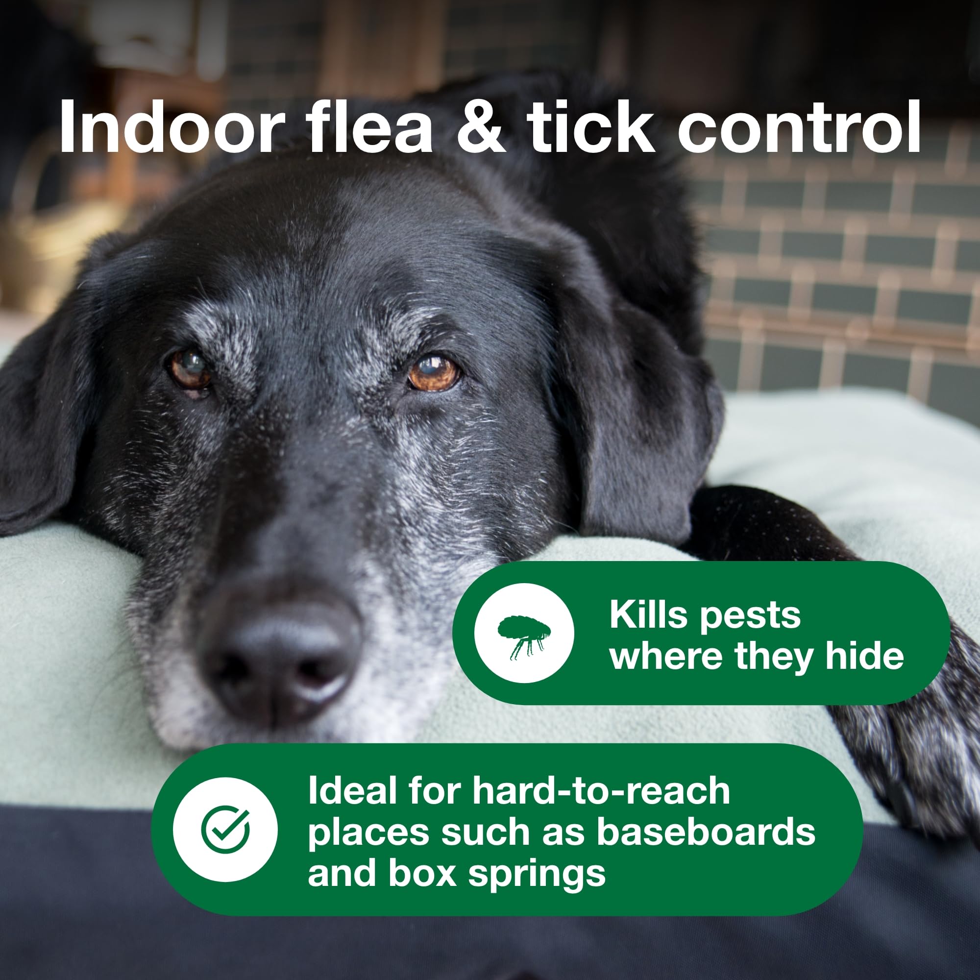 Advantage Spot & Crevice Spray Indoor Flea & Tick

