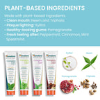 Complete Care Toothpaste Herbal Himalaya Botanique

