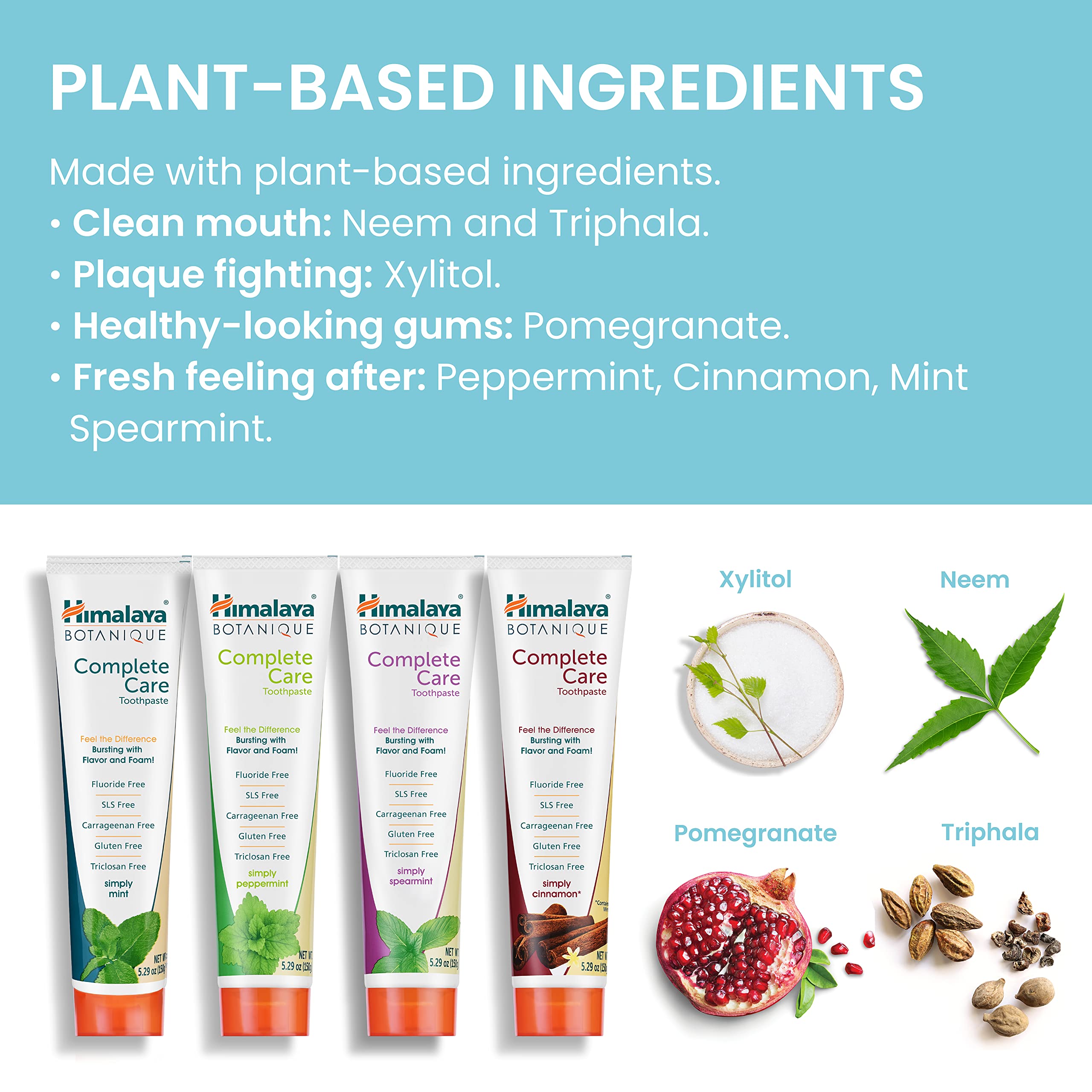 Complete Care Toothpaste Herbal Himalaya Botanique

