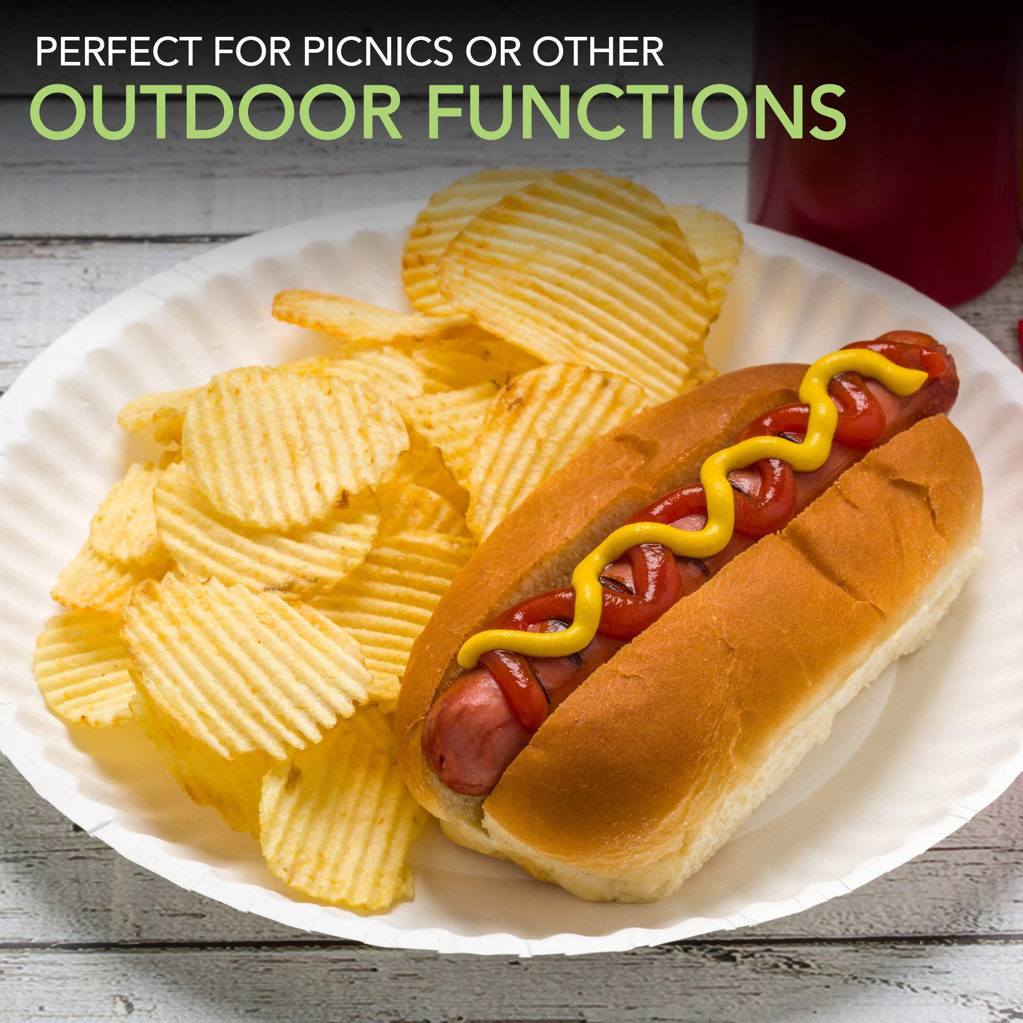 White Disposable Paper Plates | Stock Your Home

