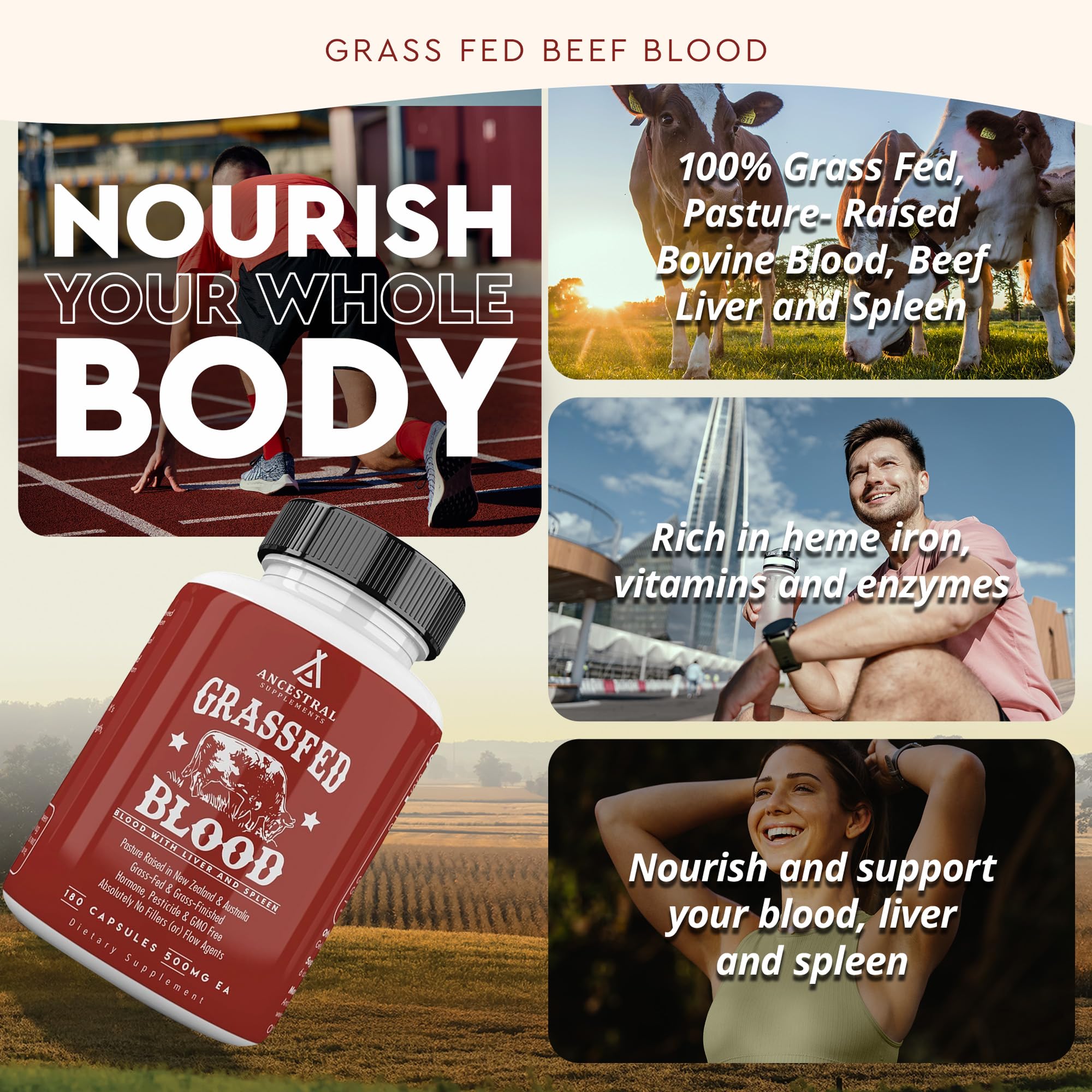 Ancestral Supplements Blood is Blood Liver Spleen Formula

