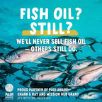 Freshfield Vegan Omega-3 DHA + DPA Algae Oil

