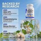 Clean Nutra Brain Nootropic for Focus and Memory

