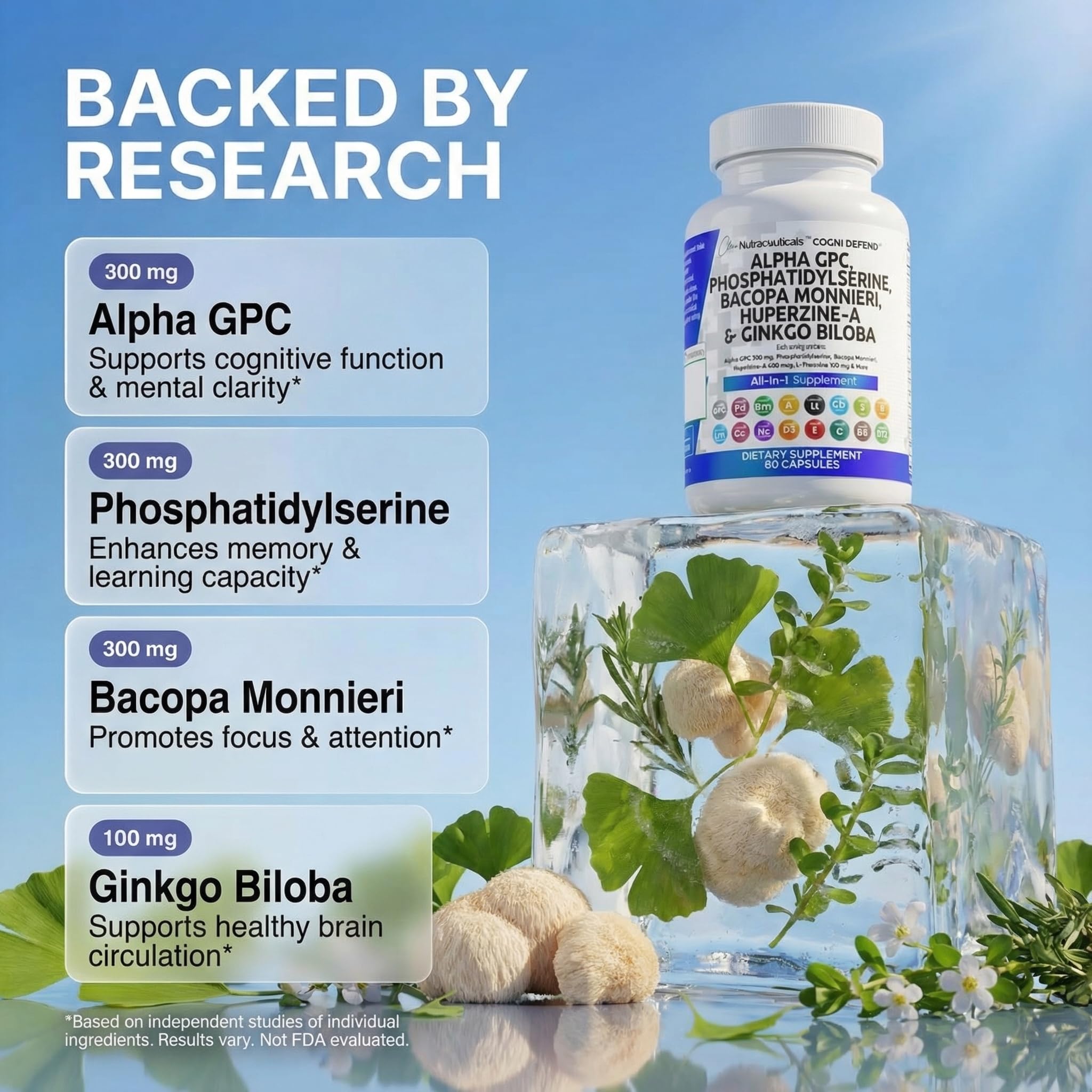 Clean Nutra Brain Nootropic for Focus and Memory

