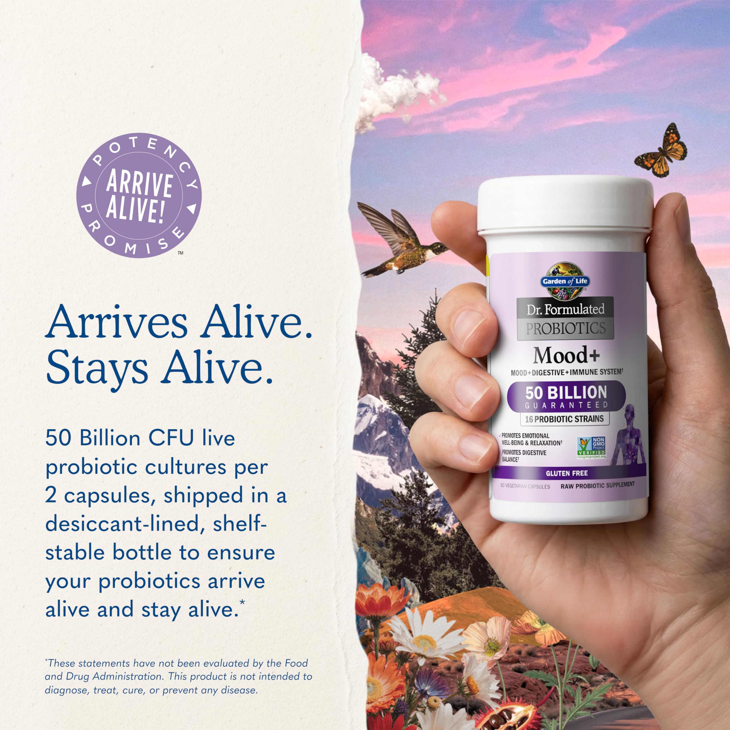 Garden of Life Mood+ Probiotic with Ashwagandha

