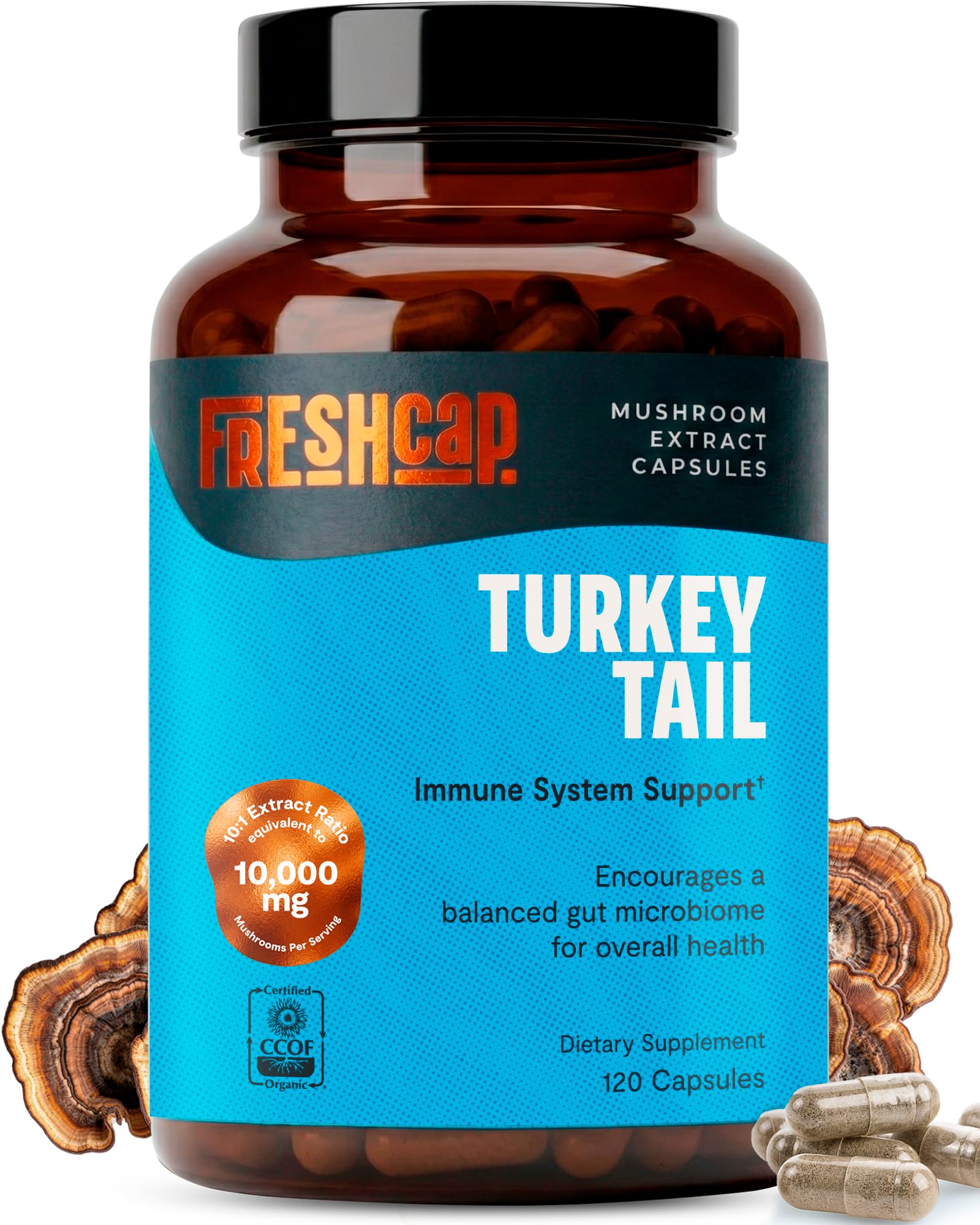 FreshCap Mushrooms Lion's Mane Capsules - 14:1 Organic Fruiting Body Extract, 31% Beta-Glucans